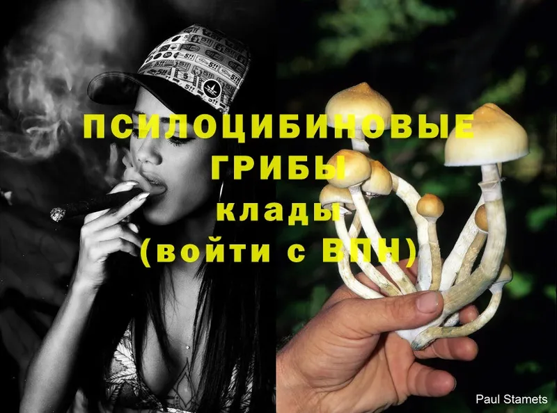 MEGA сайт  Кяхта  Псилоцибиновые грибы Cubensis  сколько стоит 